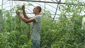 НССЗ подготви над 1300 проекта на млади фермери по мярка 6.1 - Agri.bg