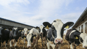 Говедовъдите отново ще искат 10 ст. субсидия за литър мляко - Agri.bg