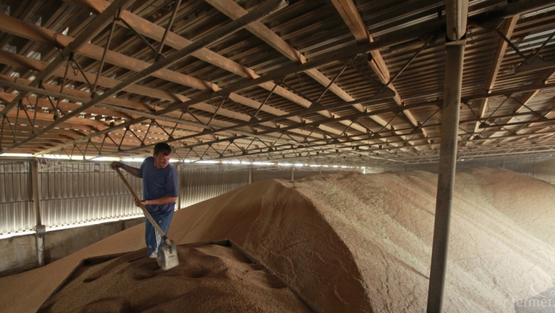 В Добруджа отчетоха 537 кг./дка. среден добив пшеница