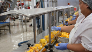 Хранително-вкусовия сектор реализира над 7% от общия износ на ЕС - Agri.bg