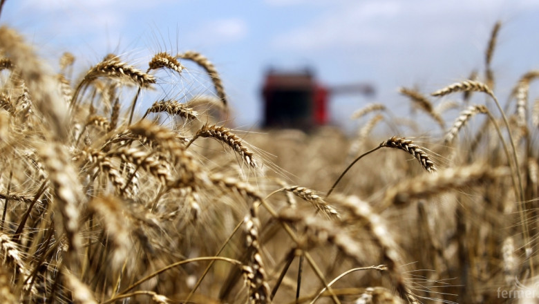 До 50% по-ниски добиви от зърно отчитат арендатори на места в Южна България