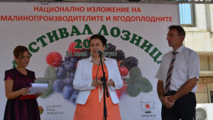 Малинопроизводителите ще получат над 2,1 млн. лв. по директните плащания - Agri.bg