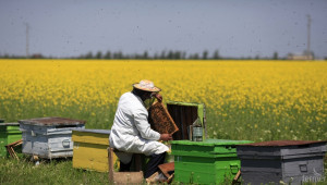 Направиха Медена къща по проект за пчели, финансиран от ПРСР - Agri.bg
