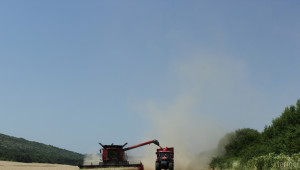 Жътвата в Ловешко приключи с повече пшеница и ечемик и по-малко рапица - Agri.bg