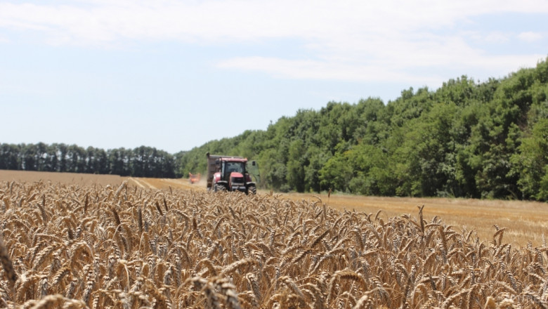 Красимир Давчев: На борсата все още няма сделки за пшеница 2015 