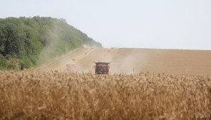 Среден добив от 532 кг. пшеница от декар отчитат в Добричко - Agri.bg