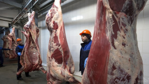 Двама министри са яли от заразеното с антракс месо (ОБНОВЕНА) - Agri.bg