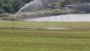 Напоителни системи Попово има необходимите количества вода за напояване - Agri.bg