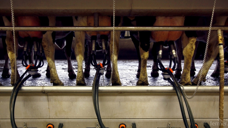 НСГБ: Има индикации за леко повишаване в цената на кравето мляко (АНАЛИЗ)