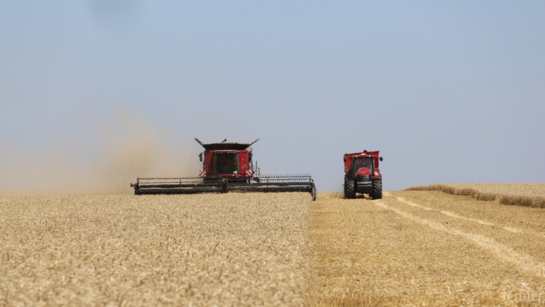 Добро качество на пшеницата при добив 451 кг/дка, отчете Съветът по зърното