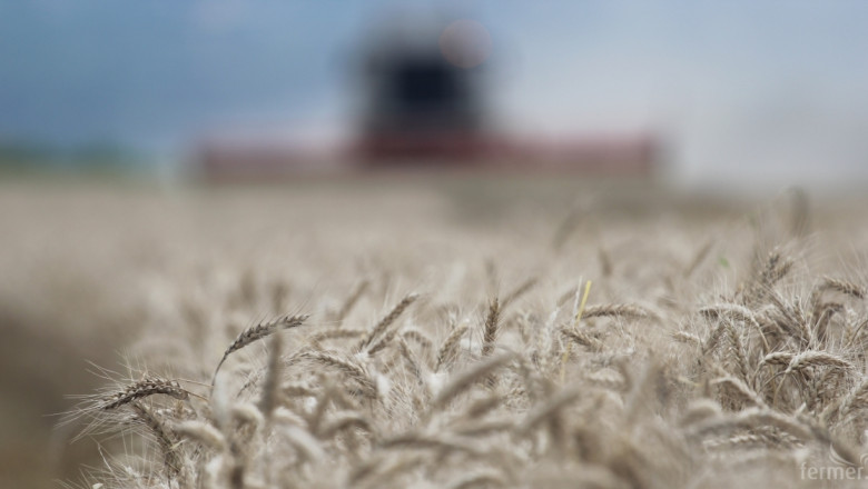 Средният добив на пшеница в Балчик достигна 574 кг./дка