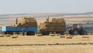 Изтича срокът за подаване на декларации в НАП от земеделските стопани - Agri.bg
