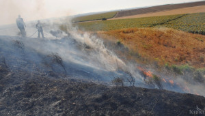 400 дкa с пшеница изгоряха при пожар в Плевенско - Agri.bg