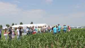 Земеделци: Байер дава цялостни решения в растителната защита! (ВИДЕО)  - Agri.bg