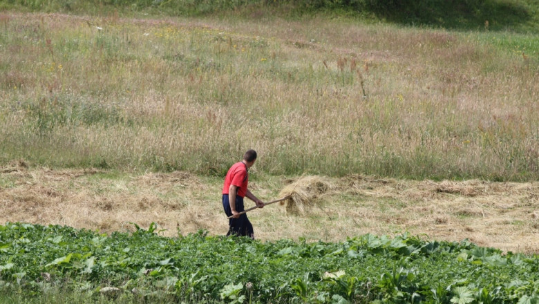 Субсидията за зимуващи гъски по ПРСР да отпадне, искат земеделци