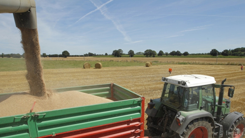 Цената на пшеницата в Западна Европа се повишава заради жегите и ралито между EUR/$
