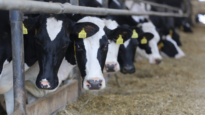 Грудев: Ще поискаме намаляване на СПО за животновъдите!