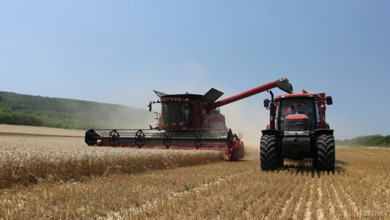 ССБ: Цената на пшеницата ще падне от 350 до 250 лв.за тон
