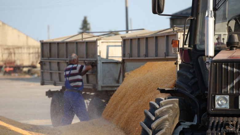 2 тона пшеница се разпиляха на пътя край Петрич