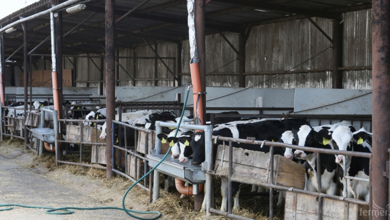 Танева: През октомври тръгват субсидиите на животновъдите!