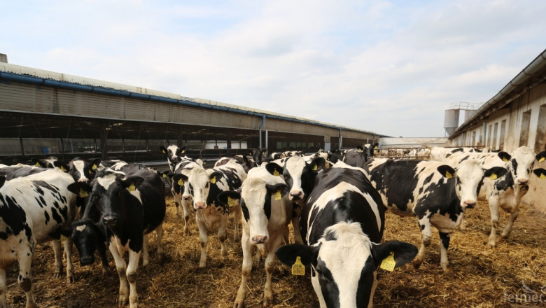 Къде е България в пазара и субсидиите за мляко? (АНАЛИЗ)