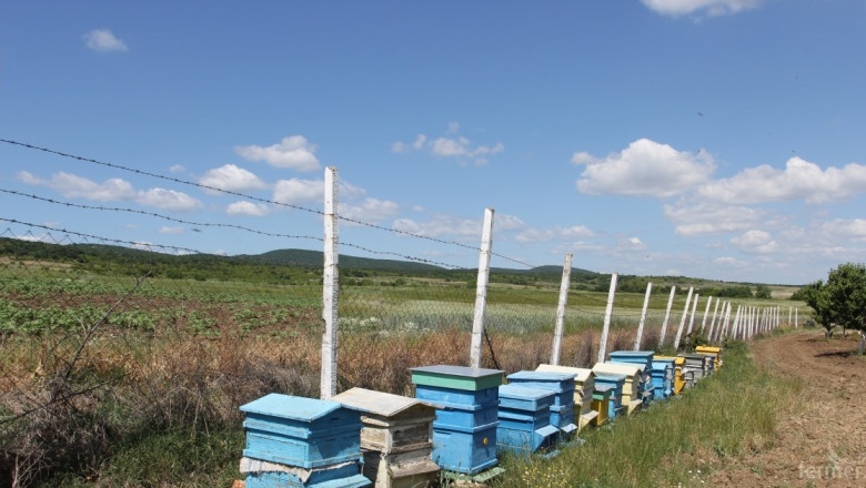 ДФЗ ще приема документи за плащане по Пчеларската програма