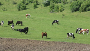 Няма да има пасища за фермери без животни, гласи промяна в Закона за земята - Agri.bg