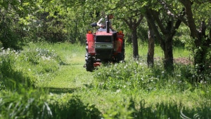 МЗХ публикува Заповед за отваряне на прием по 6.1 Млад фермер - Agri.bg