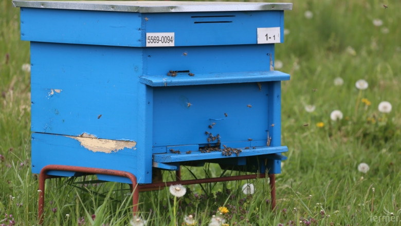 От днес пчеларите кандидатстват за помощ De minimis (УКАЗАНИЯ)