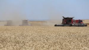 Руски фермери очакват до 20% спад  при пшеница 2015 заради суша - Agri.bg