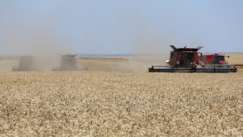 Руски фермери очакват до 20% спад  при пшеница 2015 заради суша