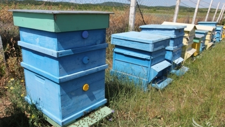 Пчелните кошери няма да се изнасят извън населените места, засега