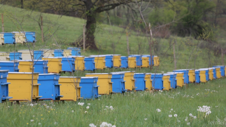 Пчелните кошери да се изнесат извън населените места, искат депутати