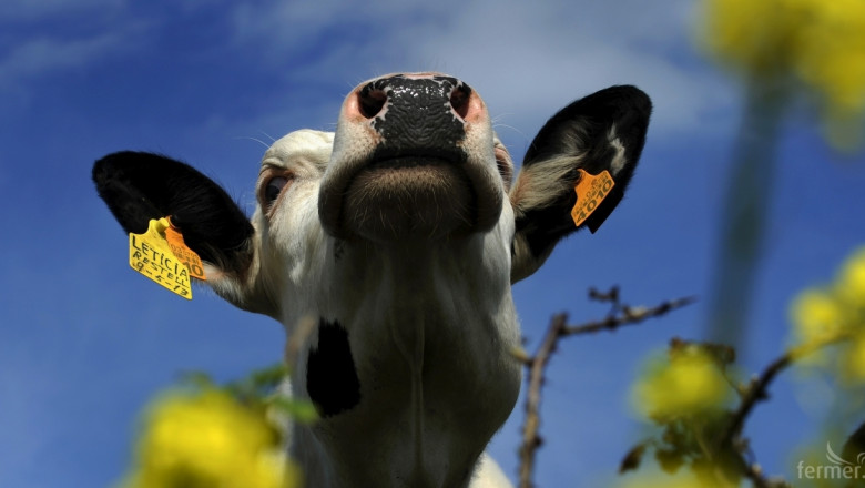Димитър Зоров: Фермерите продават млякото под себестойност (ВИДЕО)