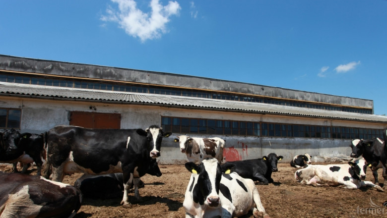 Танева: Проектите на животновъдите в селски райони по 4.1 ще бъдат одобрени!