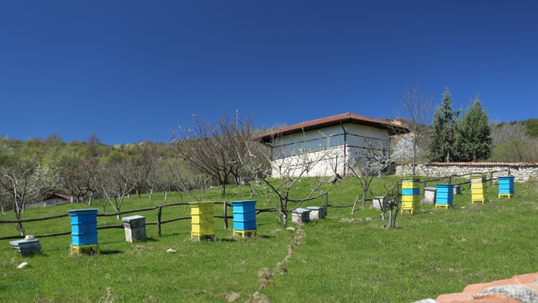 Пчелари с 10 до 200 пчелни семейства имат право на помощ de minimis (УКАЗАНИЯ)