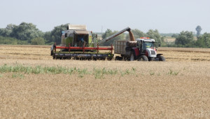 30% по-слаба реколта очакват зърнопроизводителите - Agri.bg