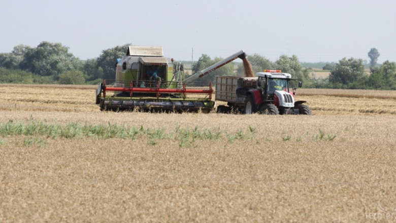 30% по-слаба реколта очакват зърнопроизводителите
