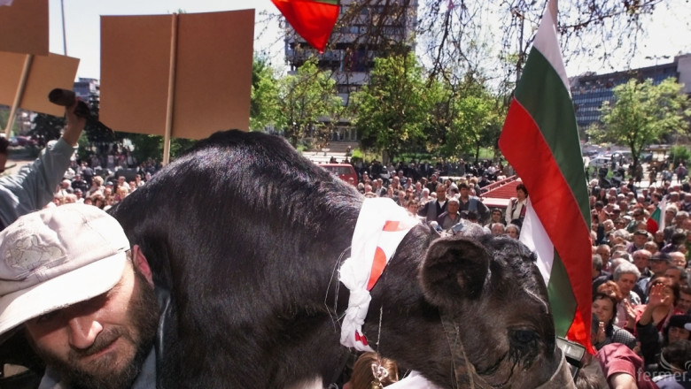 Животновъди се събират на протест край Димитровград (ОБНОВЕНА)