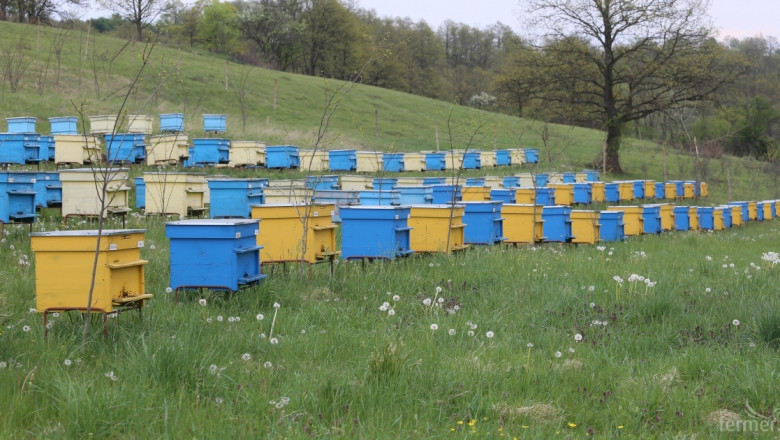 Пчелните семейства в България се увеличават 