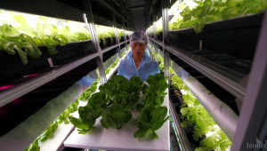 САЩ е против правото на европейските държави да решават сами за ГМО - Agri.bg