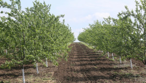 ИАСАС публикува списък на производители и търговци на посевен и посадъчен материал - Agri.bg
