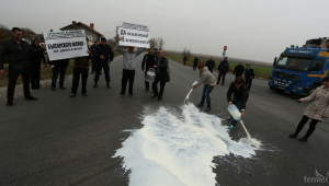 Фермери стягат протест заради кризата в сектор мляко - Agri.bg