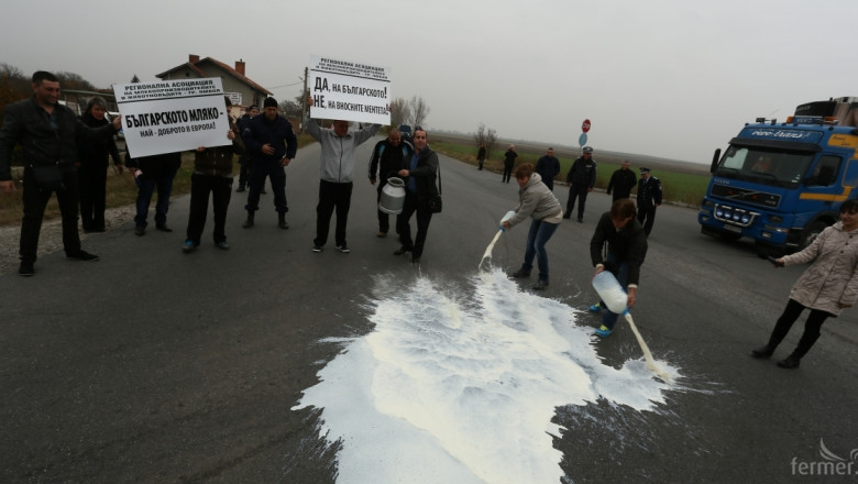Фермери стягат протест заради кризата в сектор мляко