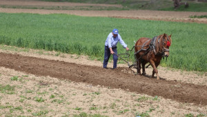 Честит Ден на труда на всички фермери! (СНИМКИ) - Agri.bg