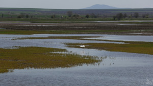 20% от земеделските площи в Ямболско са пропаднали от наводненията