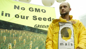 Зелена светлина на 10 нови ГМО култури даде Еврокомисията - Agri.bg