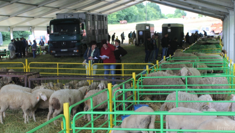 Съборът на овцевъдите набира изложители и участници в състезания