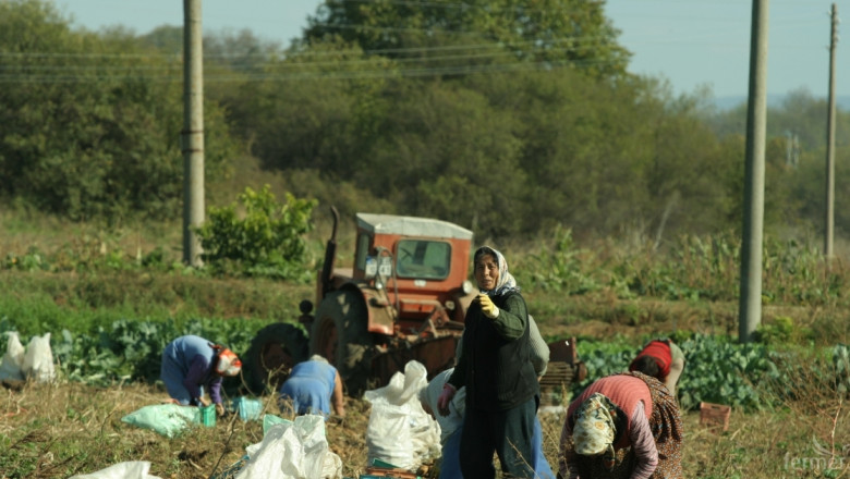Калфин: От май сезонните работници в агросектора ще се наемат по нови правила