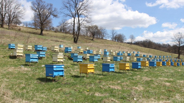 Пчелари поискаха строг контрол за нерегламентирани пръскания 